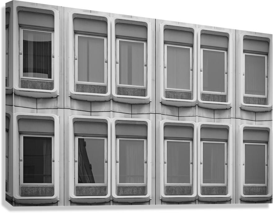 Fenestration Canvas Print